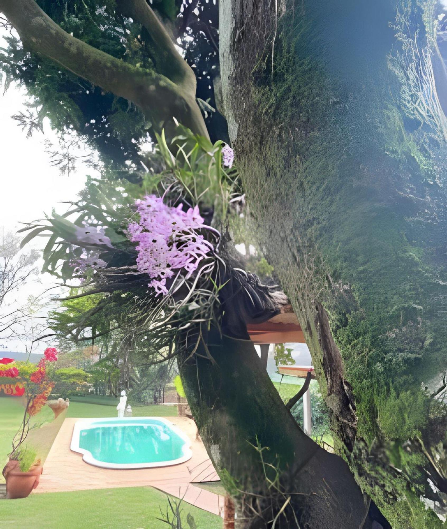 Cabanas Con Piscina En La Entrada De Oberá Εξωτερικό φωτογραφία